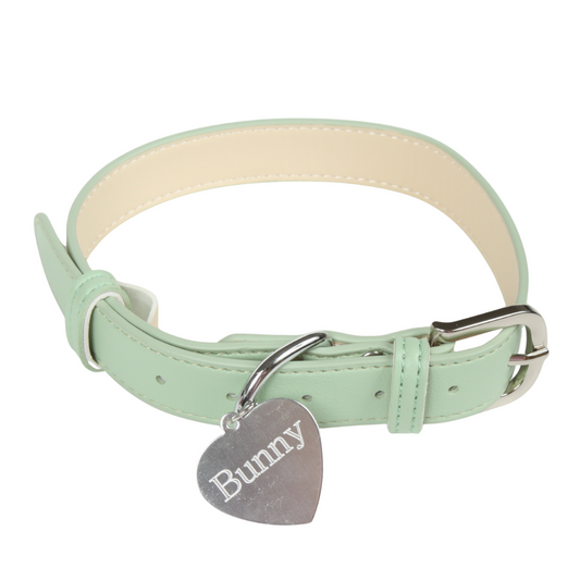 Mint green bunny collar with heart tag engraved "Bunny" – BDSM and DDLG pet play accessory